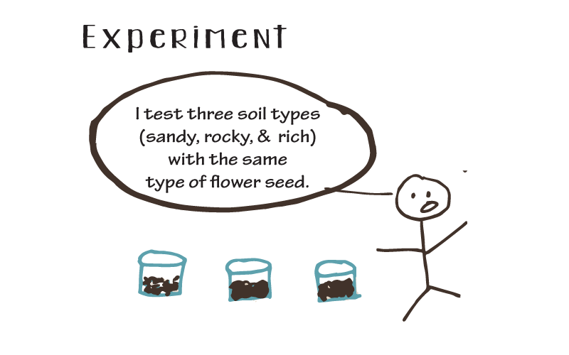 Scientific method step 4 illustration by STEM education guide