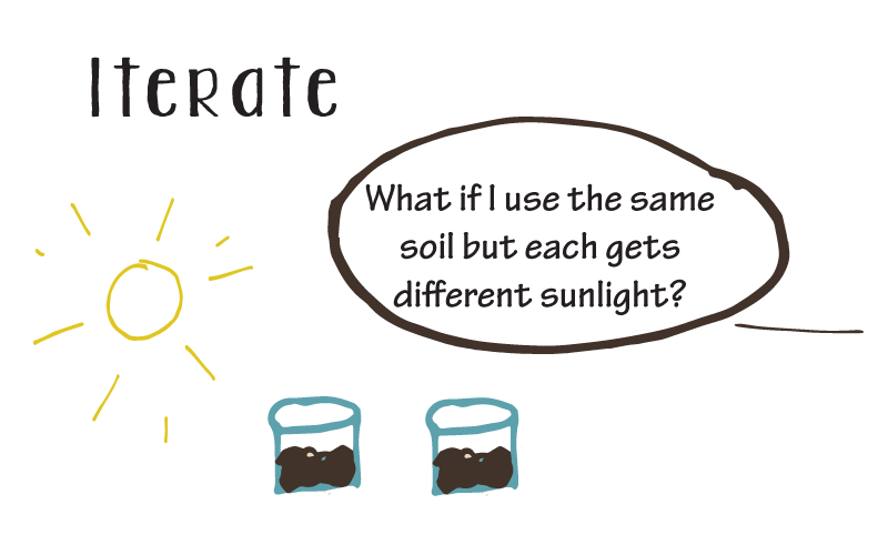 photosynthesis and the scientific method worksheet answers