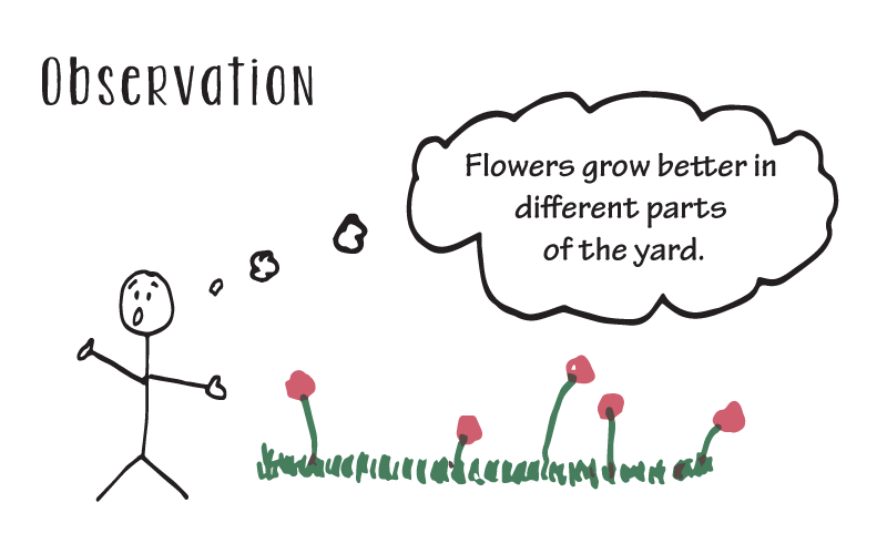 Scientific method step 1 illustration by STEM education guide