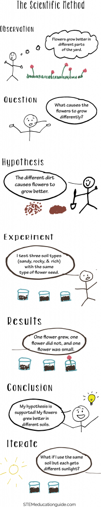 Scientific method questions worksheet
