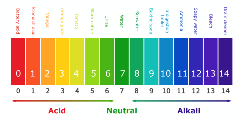 Acids and Bases