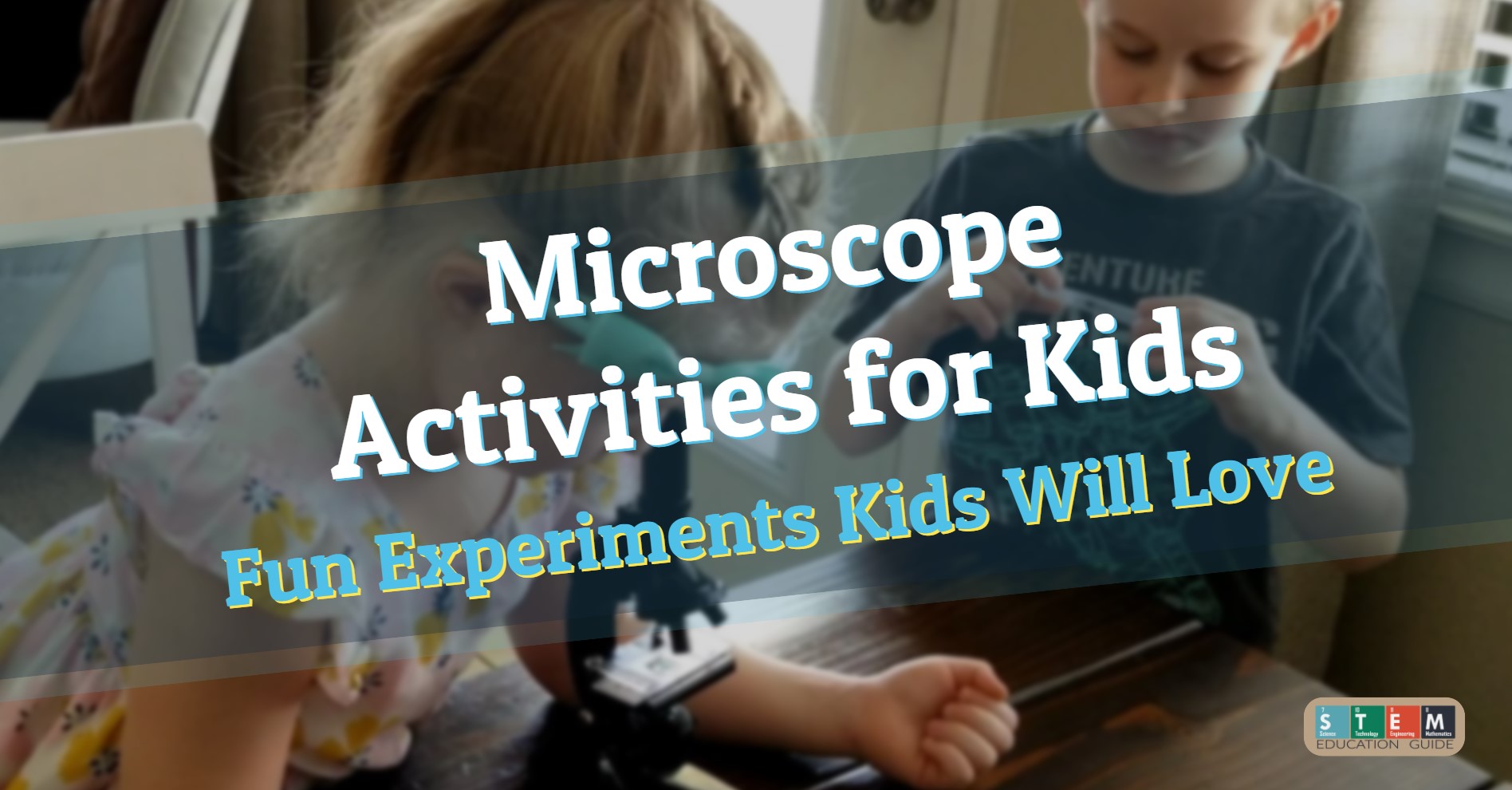 Microscope Activities for Kids