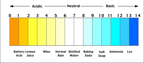 scale for acid and base chemistry for kids