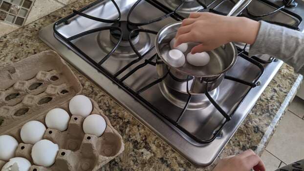 Eggs in  a pot of water