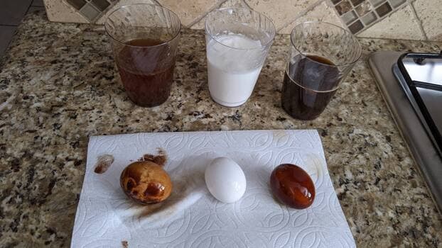 tooth decay egg experiment results