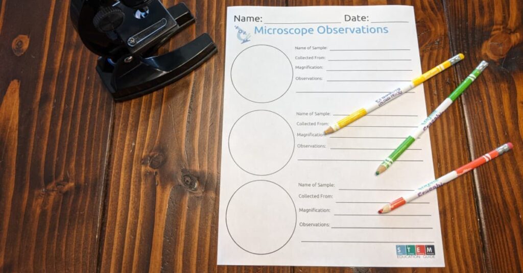 microscope observation free worksheet