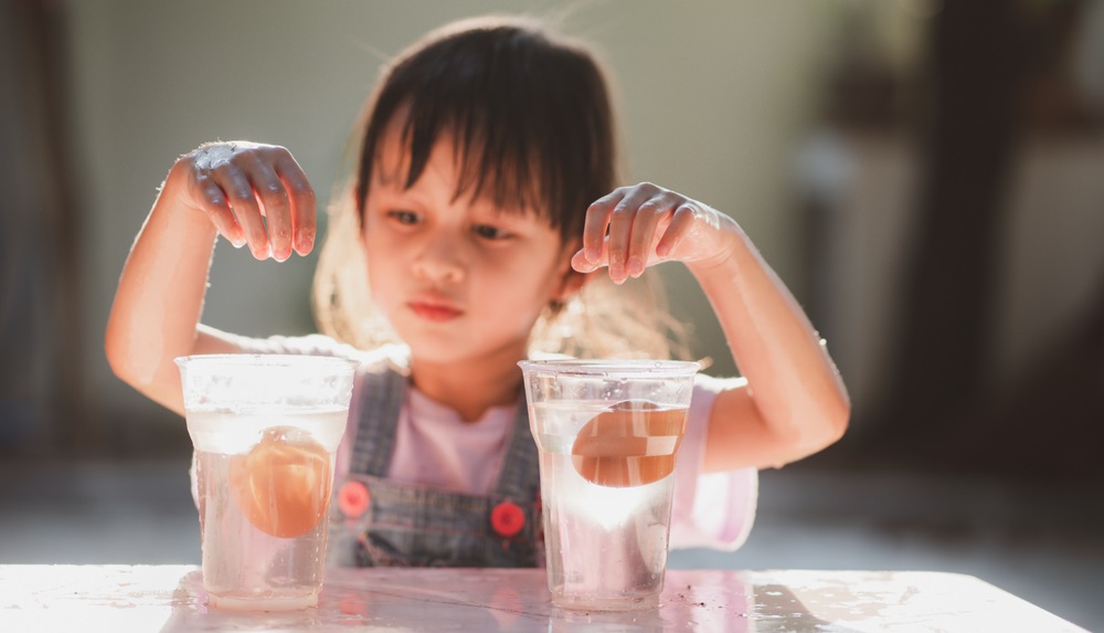 Easy science experiment at home