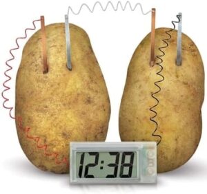 Potato Clock DIY Green Science Chemistry Engineering Lab