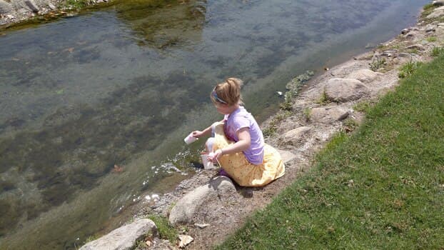 Testing the stem project in a stream