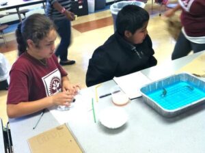 oil spill science experiment