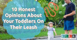 Honest Opinions About Your Toddlers On Their Leash