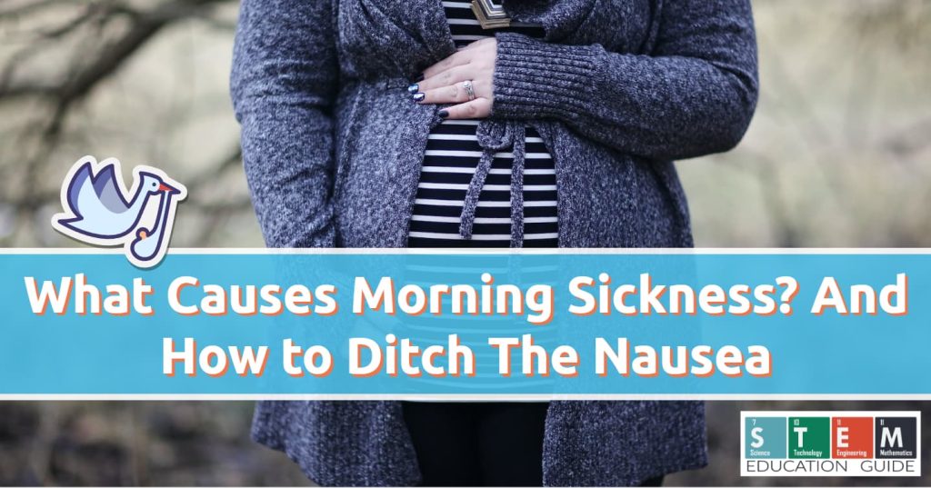 What Causes Morning Sickness STEM Education Guide