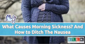 What Causes Morning Sickness