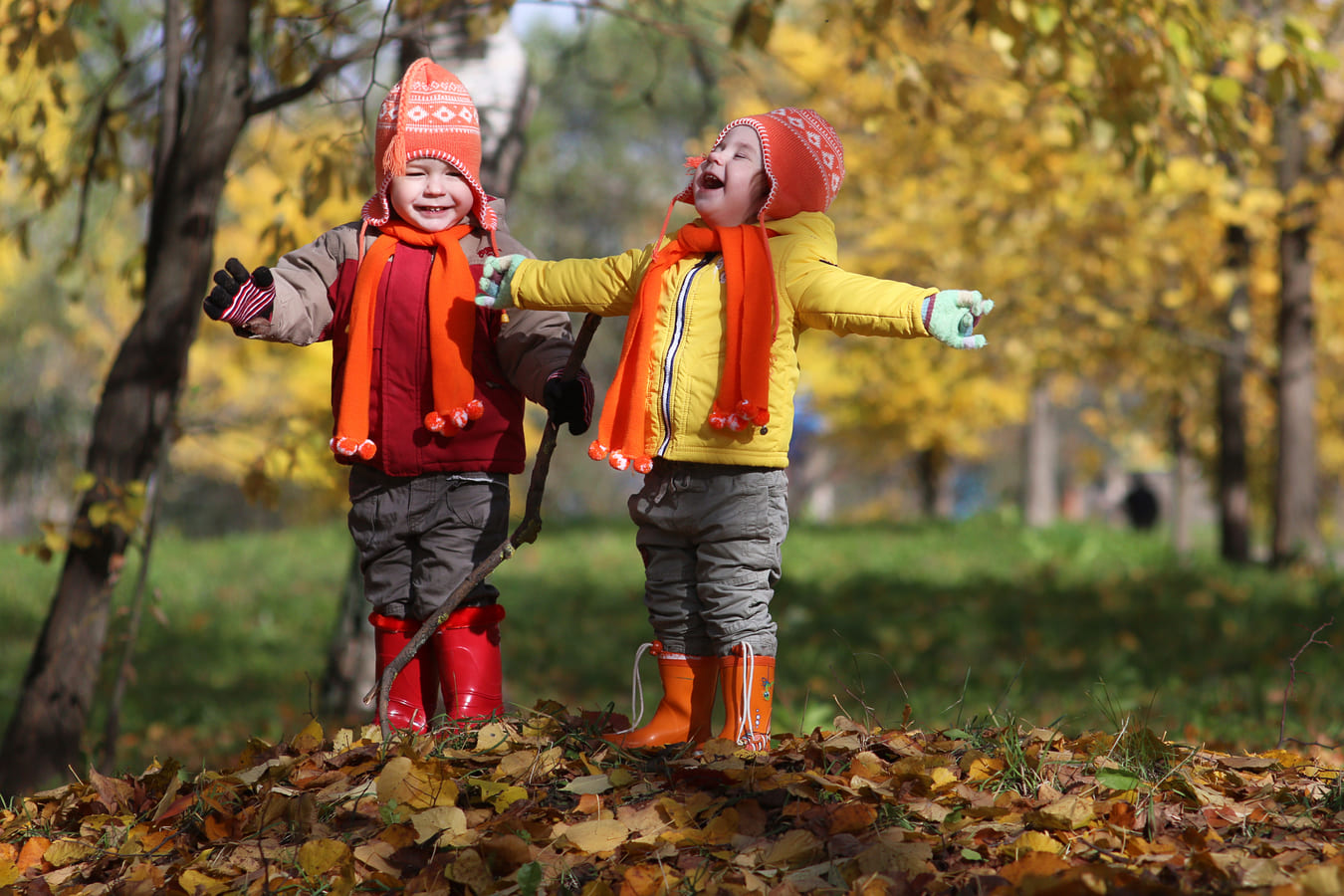 Guide to the Best Fall Activities