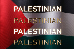 International Day of Solidarity with the Palestinian People, 29 November 2023.