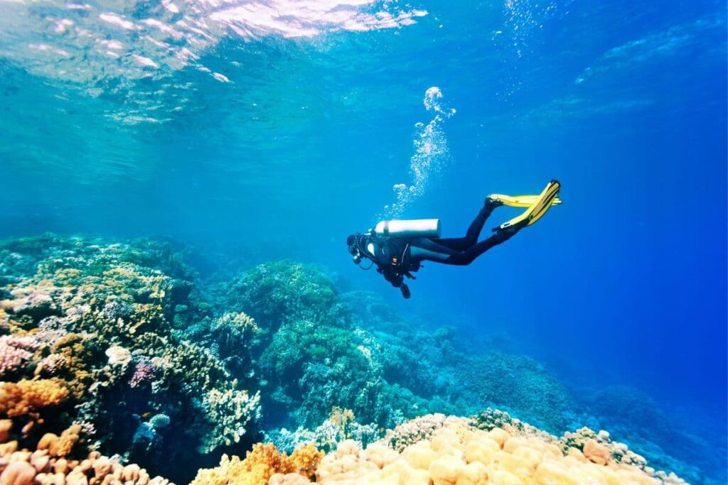 Female scuba diver swimming under water