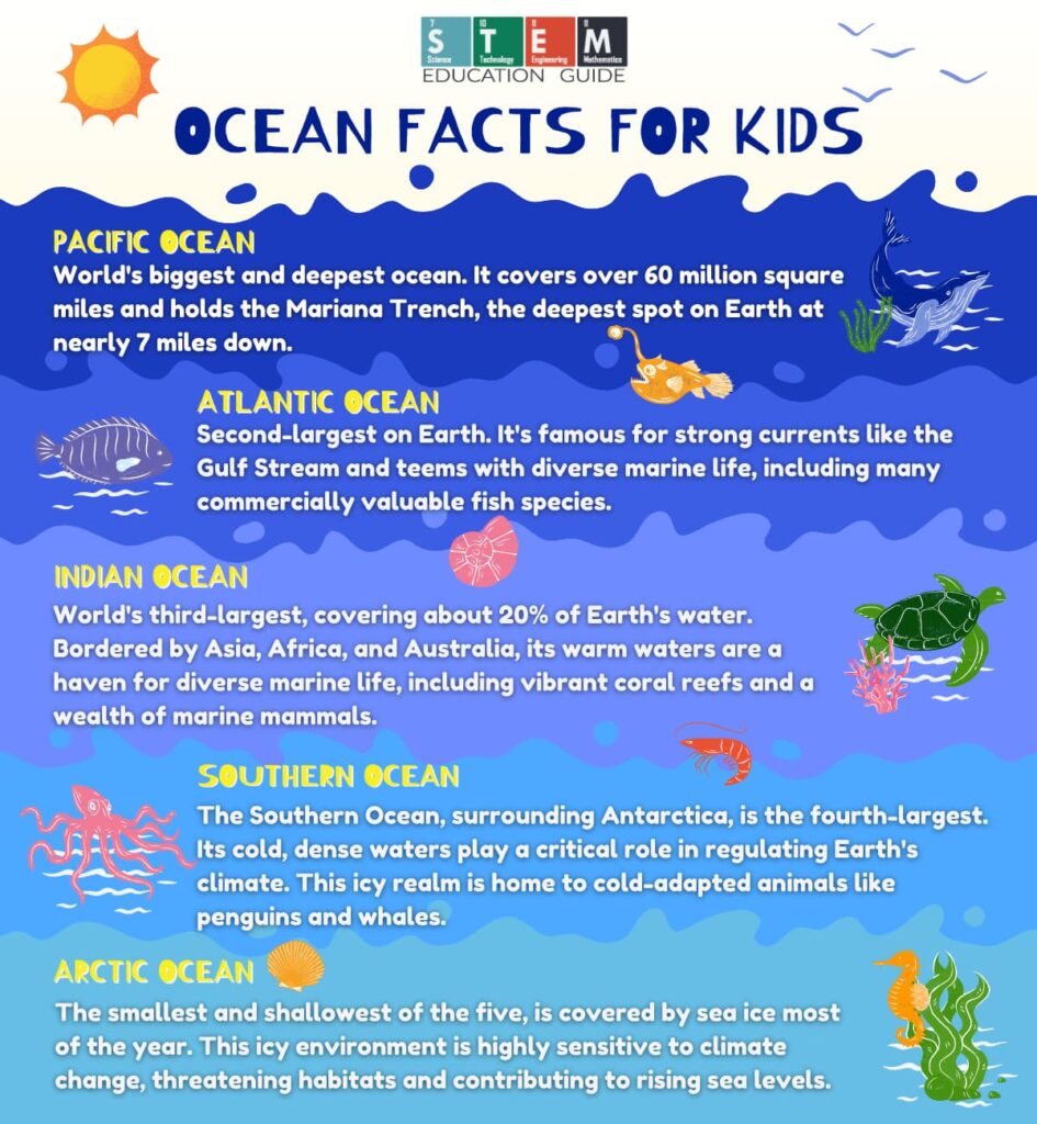 Ocean Facts for Kids infographic.