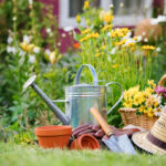 Gardening in the yard.